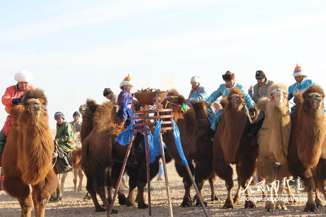 乌拉特骆驼文化那达慕      