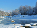 伊犁河谷的冬天