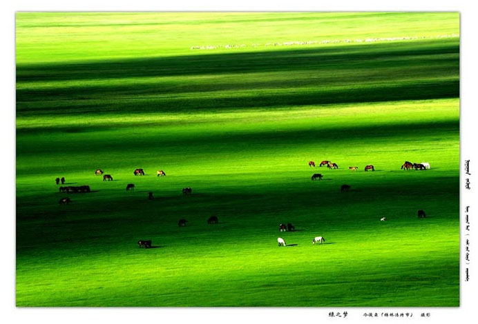      绿之梦获奖作品 《蔚蓝的乌珠穆沁》马文化摄影比赛